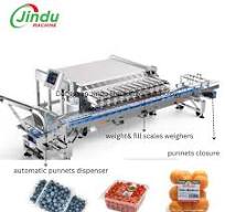 Automatic Cherry Tomato Blueberry Weighing Packing Equipment ...