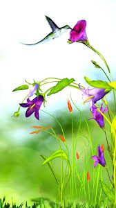 Are there any free flower wallpapers on unsplash? 3d Flower Iphone Wallpaper Hd 2021 Cute Wallpapers