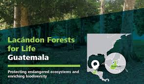 Gabriel fonseca on wn network delivers the latest videos and editable pages for news & events, including entertainment, music, sports, science and more, sign up and share your playlists. Lacandon Forests For Life Guatemala Linking Tourism Conservation