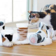Cat Paw Cup Cat Paws Like A Cat Cats