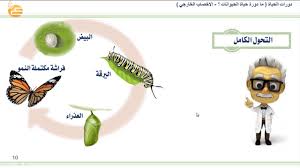 ما دورات حياة الحيوانات الإخصاب الخارجي خامس Youtube
