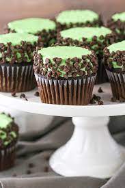 Mint Chocolate Chip Cupcakes Fluffy Chocolate Cupcakes Recipe Mint Desserts Desserts Mint Chocolate Chips
