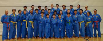 Una breve historia de vovinam viet vo dao. Vovinam Viet Vo Dao Hamburg Vovinam Viet Vo Dao Vietnamesische Kampfkunst