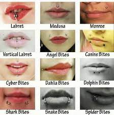 Ninki Minjaj 3 On Instagram I Want A Labret So Bad In 2021 Face Piercings Piercings Unique Mouth Piercings
