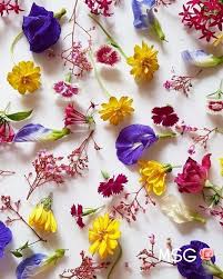The bright petals of calendula add color and a spicy tang to salads and other summer dishes. Where To Buy Fresh Edible Flowers Near Me