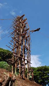 See who's going to naghol land diving 2022 in tansip, vanuatu! Land Diving On Pentecost Vanuatu Port Vila Port Vila South Pacific Islands