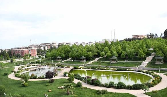 Adıyaman Üniversitesi Merkez Kampüsüne Son Üç Yıl İçerisinde 9828 Adet  Fidan Dikildi - Haberler | ADYÜ