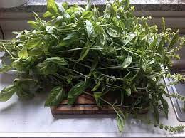 We did not find results for: Ricetta Pesto Di Basilico Bimby Mauro Alfieri Cucina Appunti Cibo