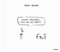 Ein problem, aber nicht sein größt. Meta Bene Hirne Waschen Und Ab Ins Bett Buch Gebunden Meta Bene Robin Thiesmeyer