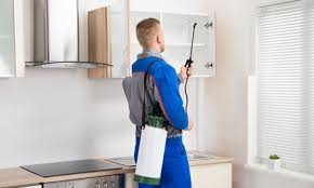 St louis pest control is the st louis area�s most trusted pest control expert. Saint Louis Pest Control Deals In And Near Saint Louis Mo Groupon
