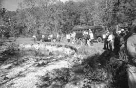 Green Horizons Newsletter