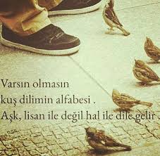 Ask Ask Ale Fotograf
