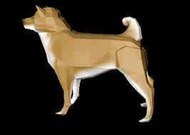 Wow such doge much meme very internets cy so curren many populan oo)d internet gold: Such Dogecoin Album On Imgur