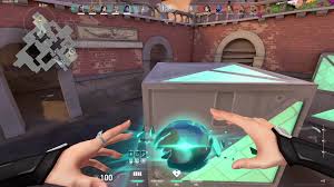 Can Valorant Pro Players Use 