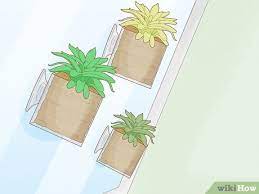 We did not find results for: Easy Ways To Hang Plants Without Holes 8 Steps With Pictures