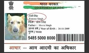 It's generally a number used on a national id card. What Is The National Identity Card Of India Quora
