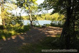 The south shore is more grassy. North South Lake Campground Campsite Photos Site 178
