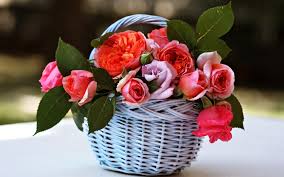 We did not find results for: Wallpaper 3840x2400 Px Basket Beauty Emotions Flowers Gardens Life Love Nature Romance Roses Spring 3840x2400 Wallpaperup 1745041 Hd Wallpapers Wallhere