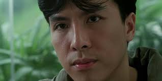20 Best Donnie Yen Movies, Ranked