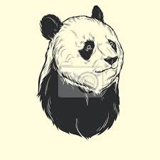 5,000 brands of furniture, lighting, cookware, and more. Kopf Panda Hand Zeichnen Leinwandbilder Bilder Teddie Monochrome Linear Myloview De