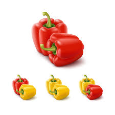 These stock designs are available to use in commercial projects after licensing. Paprika Cliparts Stock Vector And Royalty Free Paprika Illustrations