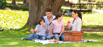 Las actividades que os proponemos hoy son ideales para practicarlas al aire libre. Ideas Saludables Para Comer Al Aire Libre Con Los Ninos