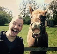 صور مضحكة رائعة وجديدة ملتقطة عن الحيوانات لحن الحياه Fun Photo Pics