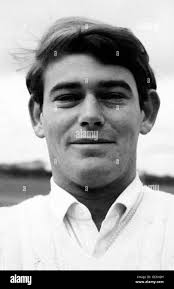 Robin posing Black and White Stock Photos & Images