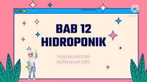 Maybe you would like to learn more about one of these? Plbj Kelas 5 Bab 12 Hidroponik Youtube