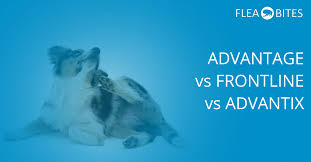 To choose an effective remedy matching individual circumstances. Advantage Vs K9 Advantix Vs Frontline Spot On Flea Treatment Review