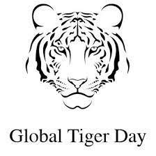 The aim of the day is to help promote a worldwide system whereby we are dedicated to protecting tigers and their natural habitats. Global Tiger Day Global Tigerday Twitter