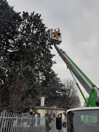 Profile for Salvati giardinaggio