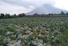 Tinggi kolom abu teramati kurang lebih 5.000 meter di atas puncak atau sekitar. Gunung Sinabung Aman Di Luar Radius 5 Kilometer Republika Online