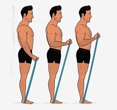 You should be able to maintain 24 to 30 strokes per minute. Are Resistance Bands As Good As Free Weights For Building Muscle