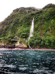 Check spelling or type a new query. Parque Nacional Isla Del Coco Cocos Island National Park Costa Rica Travel Beauty National Parks What A Beautiful World