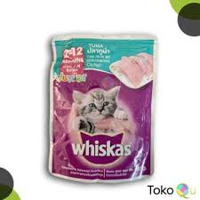 Makanan kucing anggora beragam jenisnya, kamu bisa membuat sendiri maupun membeli makanan siap saji di toko terdekat. Kucing Anggora Harga Terbaru Desember 2020 Blibli