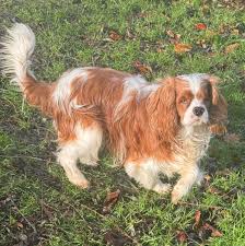 Freddie here 👋 We didn't get any...