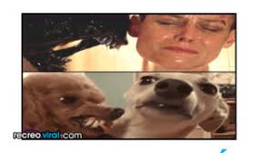 Bill and Ted Melvin Death