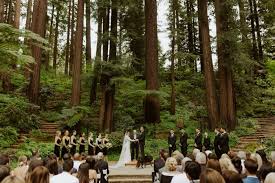 Maybe you would like to learn more about one of these? This Magical Nestldown Wedding Is A Fairy Tale Among The California Redwoods Junebug Weddings