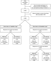 the effect of maternal immunisation during pregnancy on