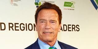 Video footage from twitter shows arnold schwarzenegger being attacked from behind in south africa, at his sporting event arnold classic africa. Qv45f7ukgoi9jm