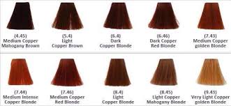 Extra large 3.5 oz tube. Pin By Amanda Lauren On Noodles Copper Blonde Red To Blonde Golden Copper Hair Color