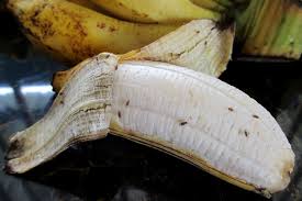 We did not find results for: Banyak Lalat Buah Di Dapur Dan Ruang Makan Ini Cara Membasminya Halaman All Kompas Com