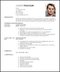 Exemple De Cv Equipier Polyvalent Exemples Modeles De Cv