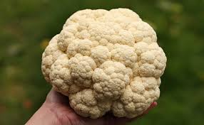 images?q=tbn:ANd9GcRxDQzuit1snsa8_SRl_bR