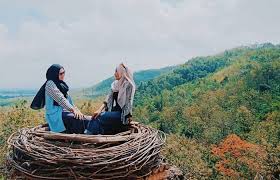 Untuk menikmati pesona dari pantai pantai papuma ini anda hanya akan di mintai tiket masuk sebesar 12.500/orang, tidak jauh dari pantai ini juga terdapat. 20 Wisata Di Jember Paling Hits Tahun 2021 Wajib Ke Sini