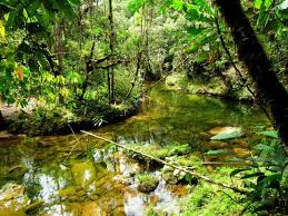 It's known as a gateway to caño cristales, a river famed for the vividly colourful macarenia clavigera plants that bloom in its waters in the latter part of the wet season. Pin On Creeks Lakes Rivers And Waterfalls