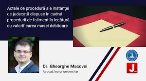 Ce tip de bunuri pot fi executate silit. Juridice Moldova