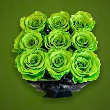 Check spelling or type a new query. St Patrick S Day Green With Envy Onlyroses