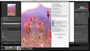 What version of lightroom are you using? Show Focus Points Plugin For Lightroom
